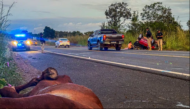 Acidente ocorreu na BR-343, entre Altos e Campo Maior